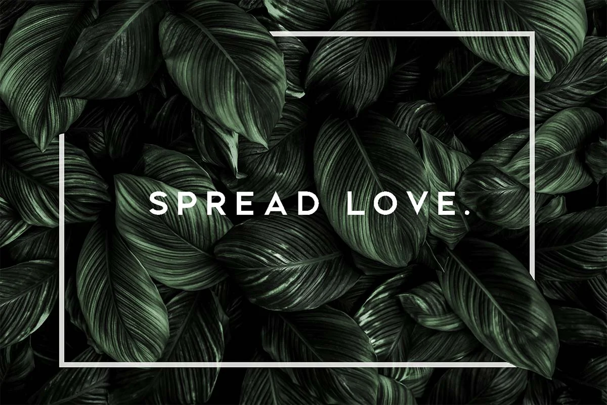 Love & Freshwater organic soap brand